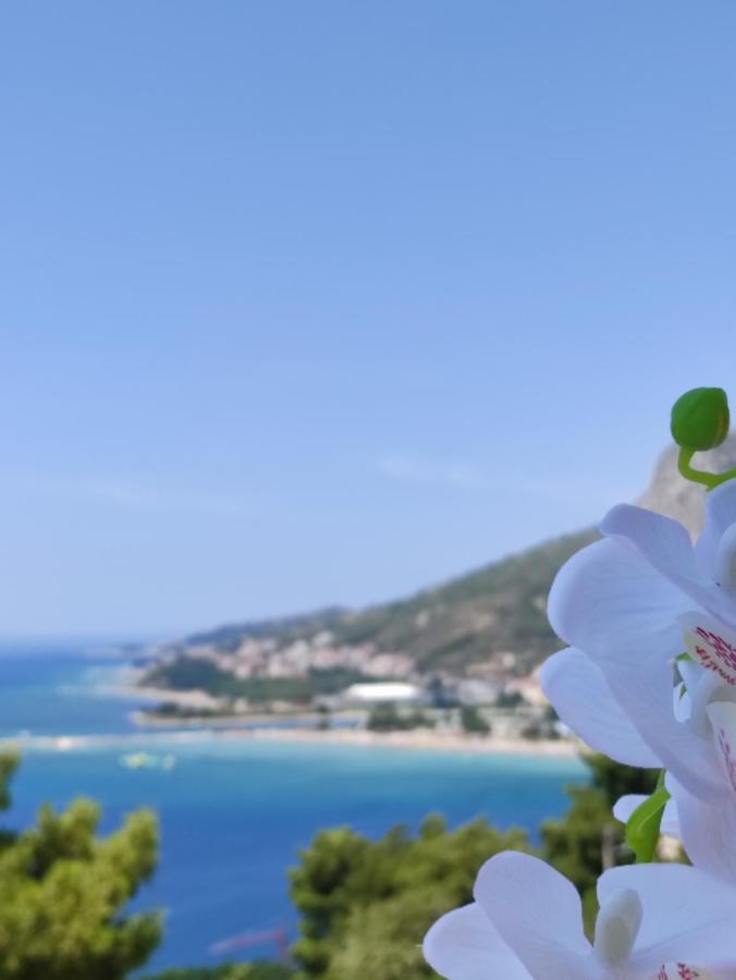 Rake Apartment Omiš Екстериор снимка